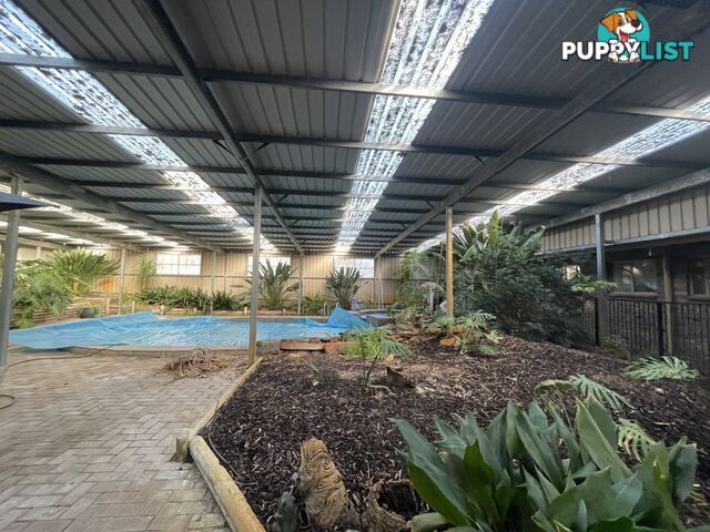42 Battunga Road MEADOWS SA 5201
