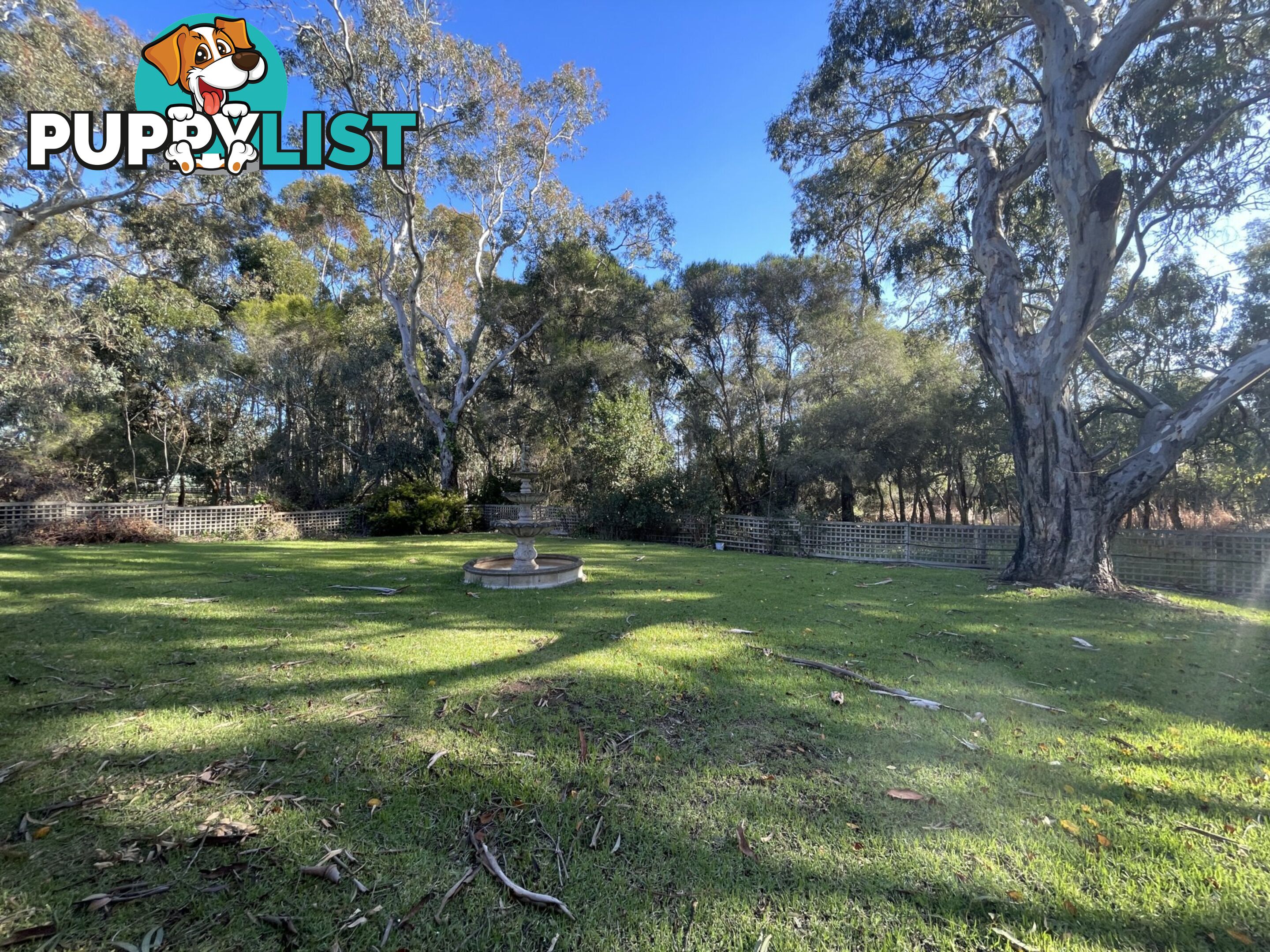 42 Battunga Road MEADOWS SA 5201