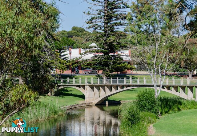 Lot 6/5a Way Street STRATHALBYN SA 5255