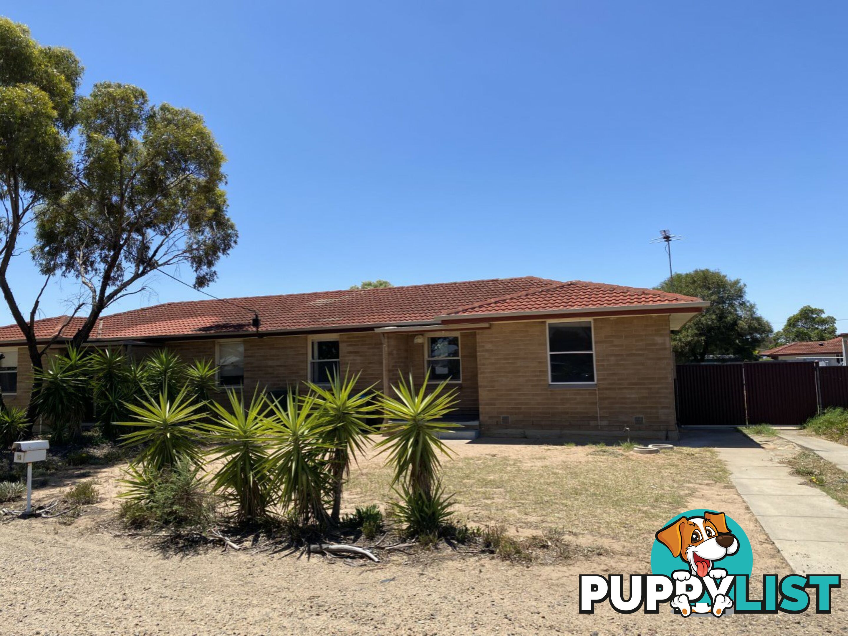 12 Schubert Street MURRAY BRIDGE SA 5253