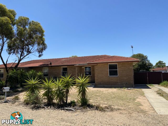 12 Schubert Street MURRAY BRIDGE SA 5253