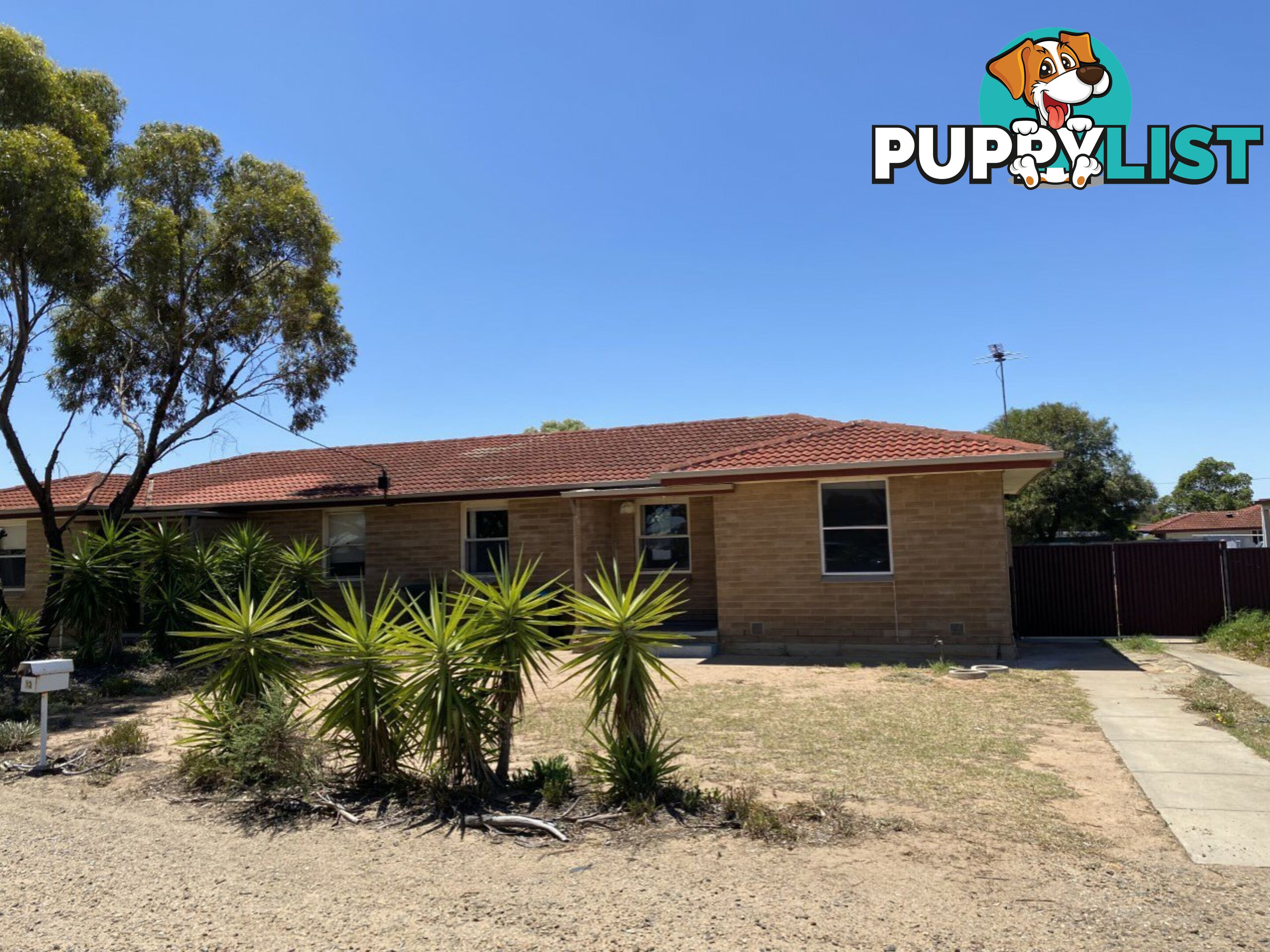 12 Schubert Street MURRAY BRIDGE SA 5253