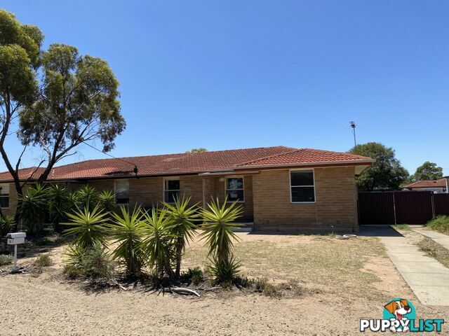 12 Schubert Street MURRAY BRIDGE SA 5253