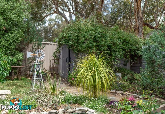 9 Holstein Close MOUNT BARKER SA 5251