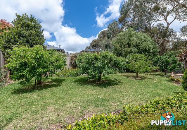 9 Holstein Close MOUNT BARKER SA 5251