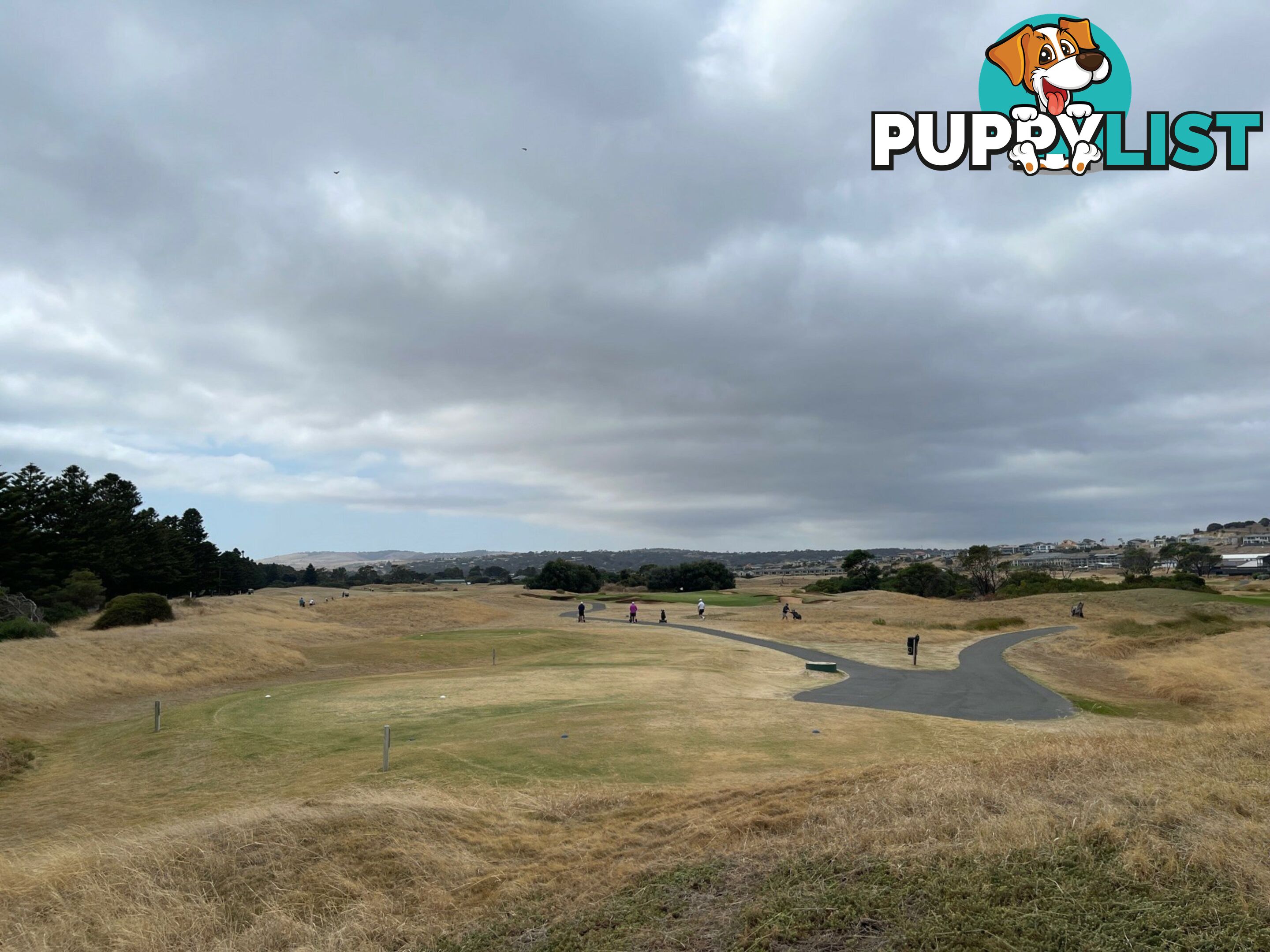 Lot 50 The Vines Drive NORMANVILLE SA 5204