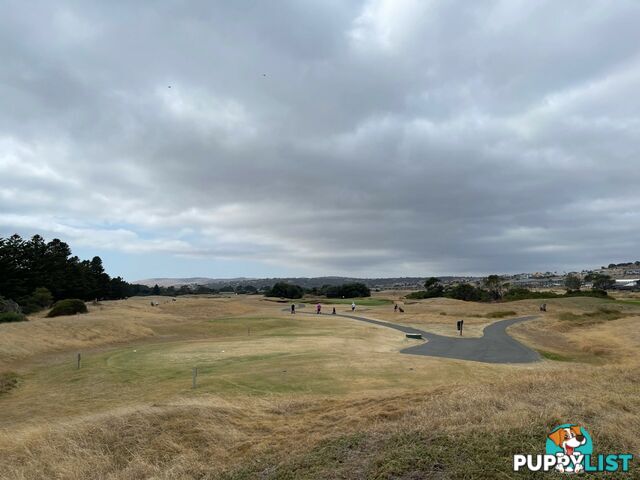 Lot 50 The Vines Drive NORMANVILLE SA 5204