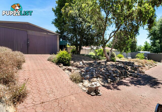 45 Ray Orr Drive MOUNT BARKER SA 5251