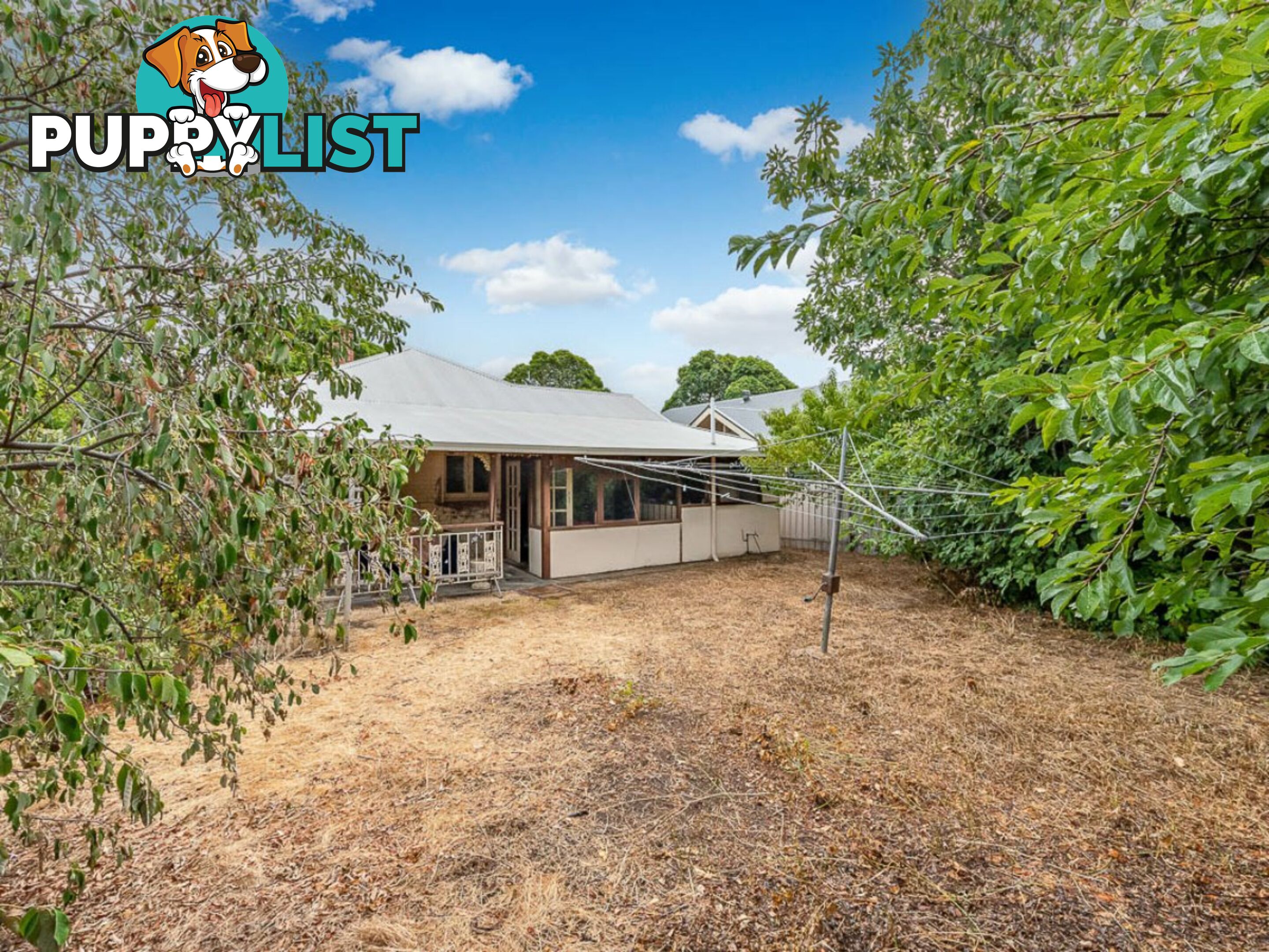 14 Corinda Avenue KENSINGTON PARK SA 5068