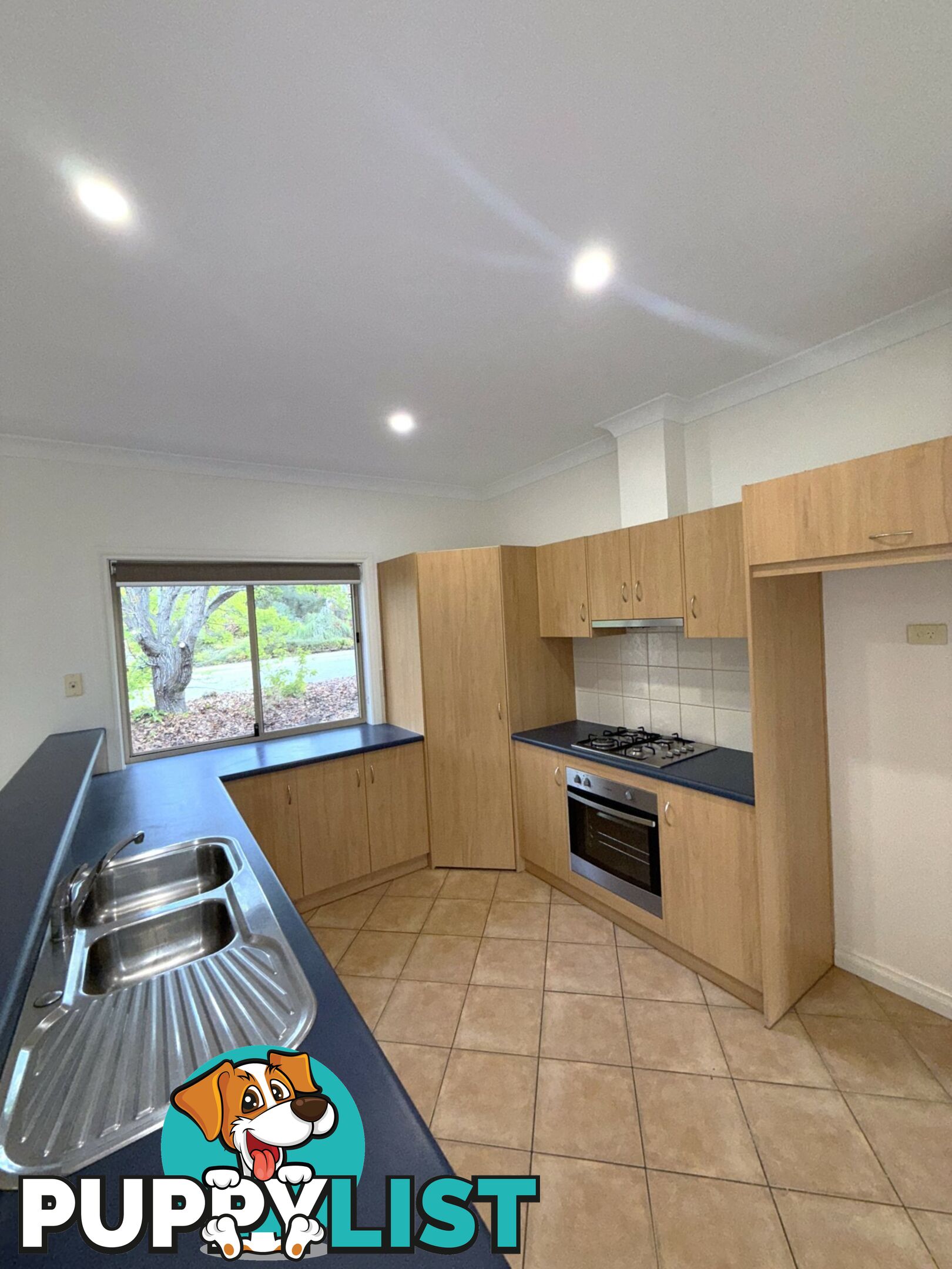 8 Gollan Circuit MOUNT BARKER SA 5251