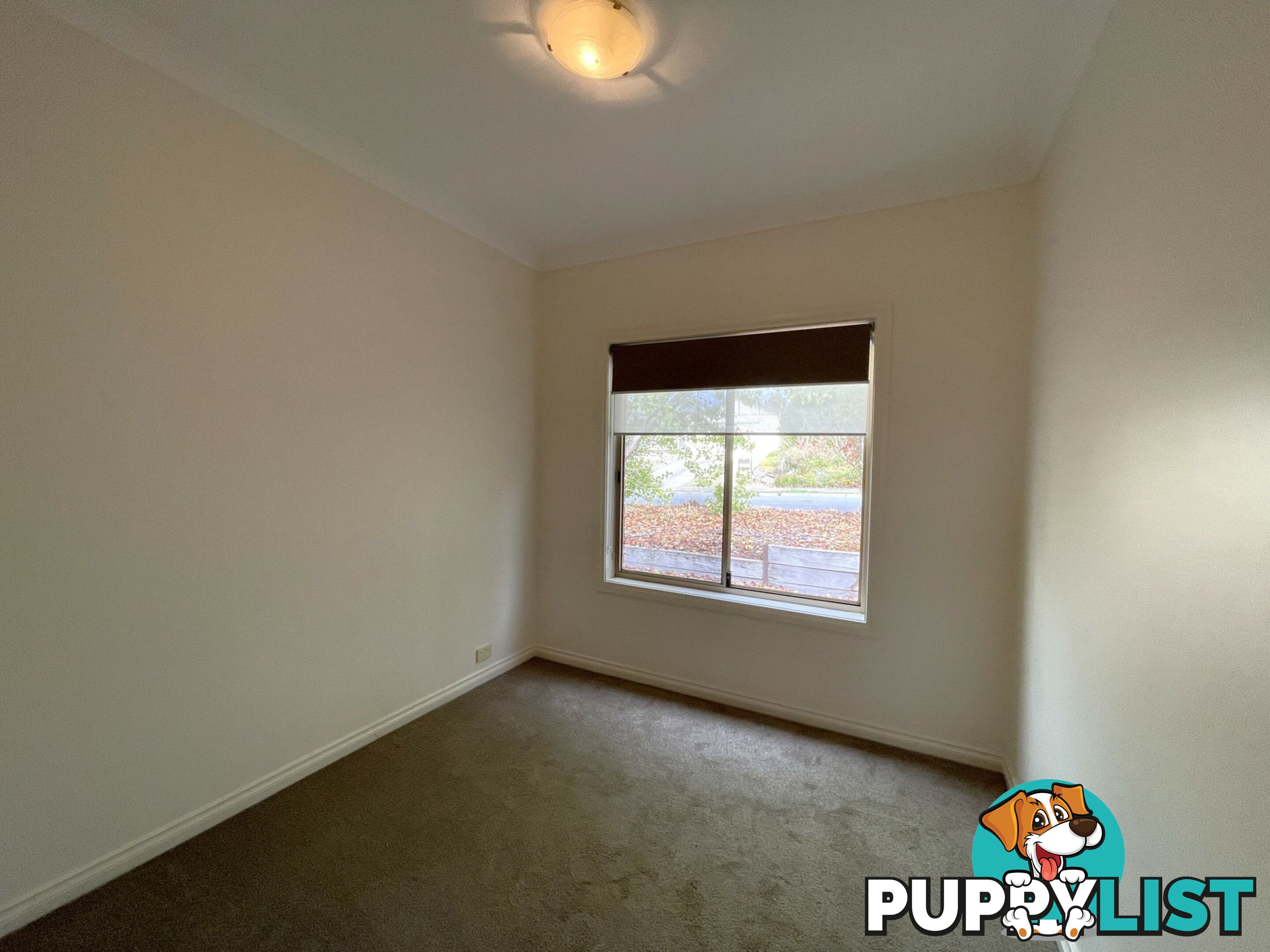 8 Gollan Circuit MOUNT BARKER SA 5251