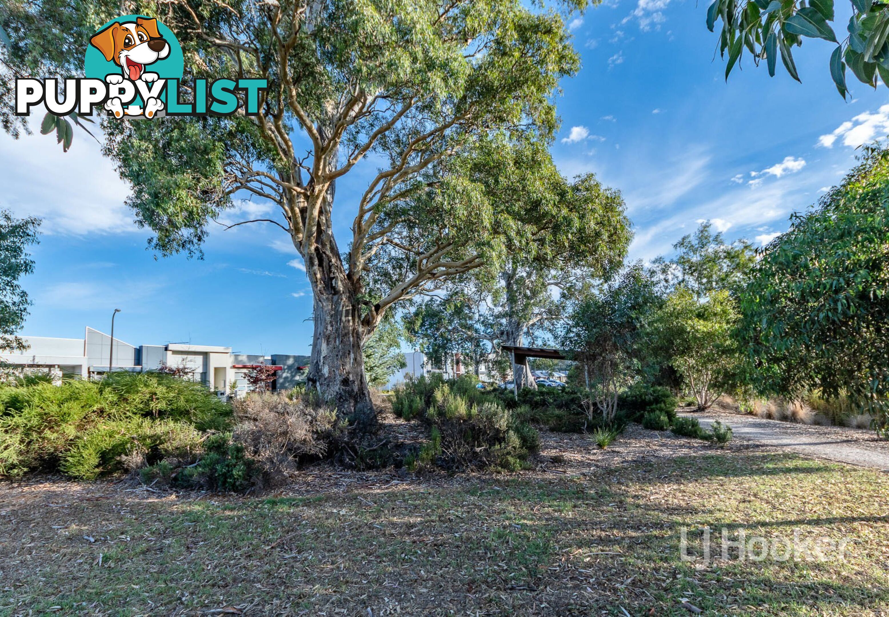 28 Wycombe Drive MOUNT BARKER SA 5251