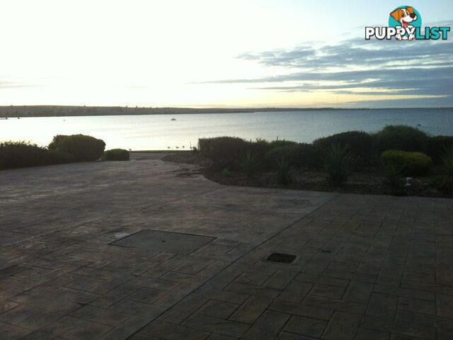 107 Wells Street STREAKY BAY SA 5680