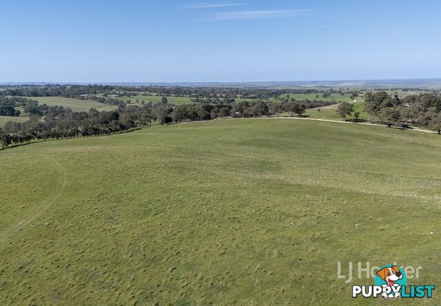 Lot 71 Daniel Road WISTOW SA 5251