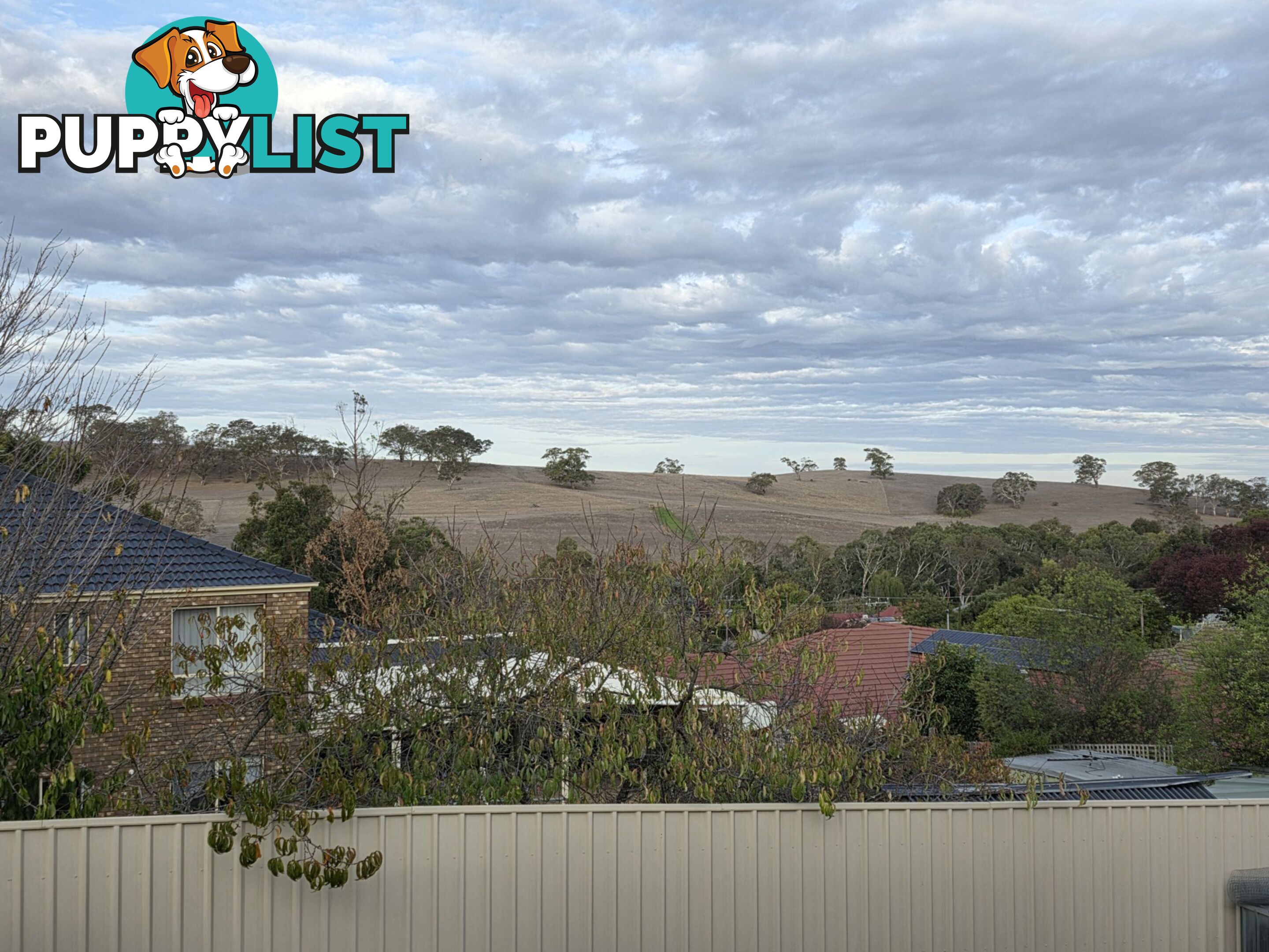 68 Webber Drive NAIRNE SA 5252