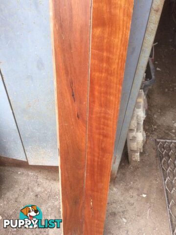 recycled 80 x 19 Spotted Gum flooring