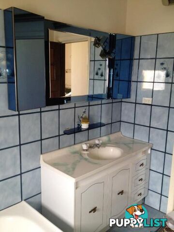 Vanity bathroom unit