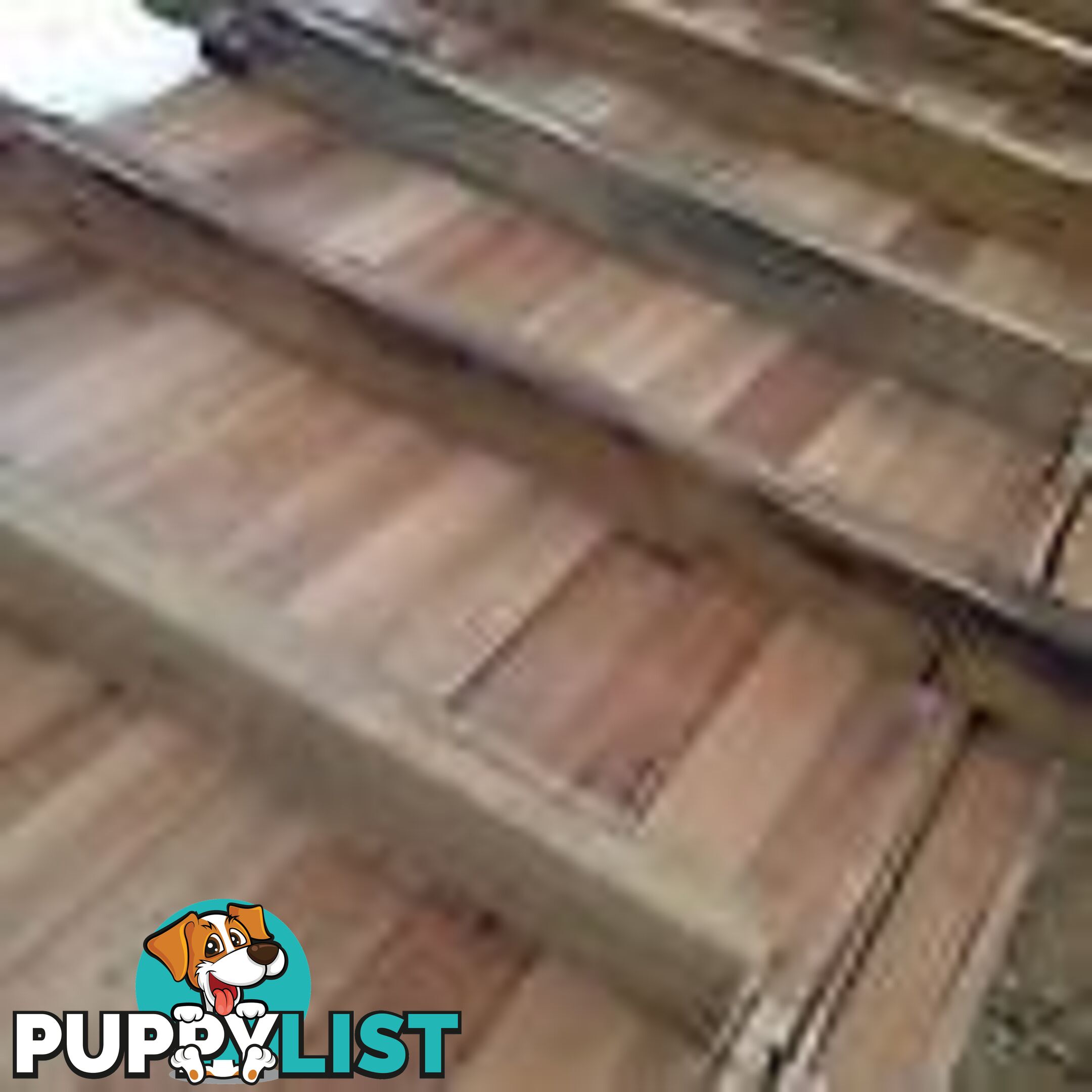 Recycled Tas Oak Hardwood Flooring 25mm thick