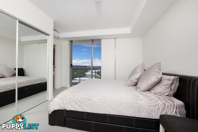 285 /135 Lakelands Drive Merrimac QLD 4226