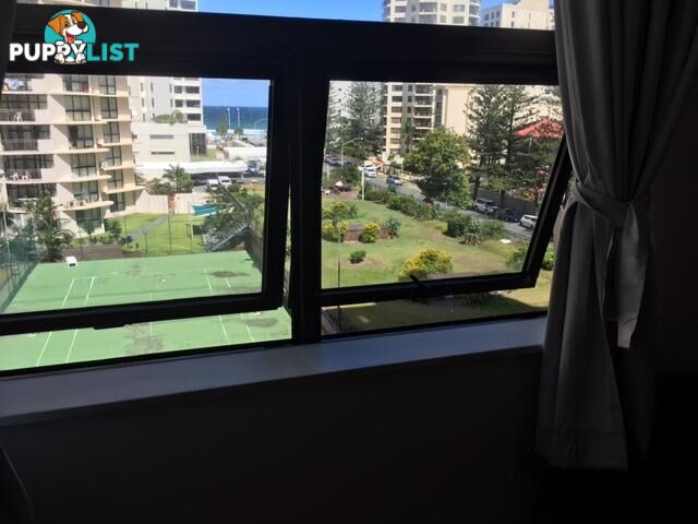 46/3049 Surfers Paradise Boulevard Surfers Paradise QLD 4217