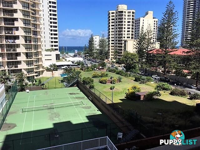 46/3049 Surfers Paradise Boulevard Surfers Paradise QLD 4217