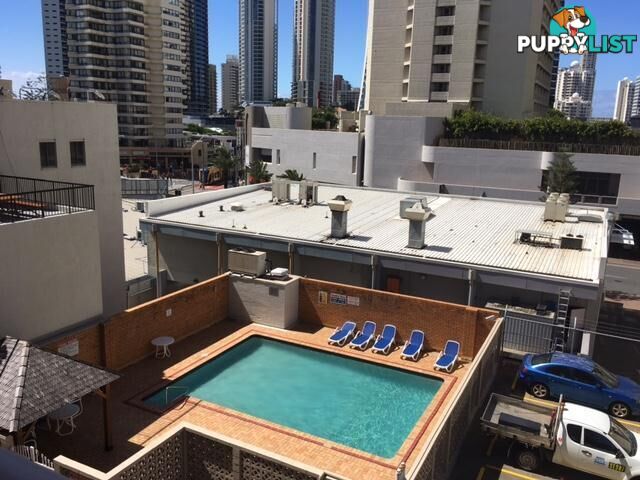 46/3049 Surfers Paradise Boulevard Surfers Paradise QLD 4217