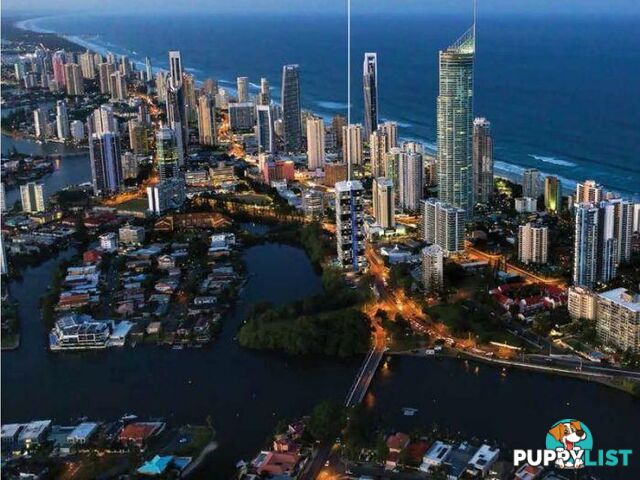 18 Remembrance Drive Surfers Paradise QLD 4217