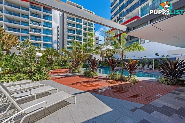 1908/25-31 East Quays Drive Biggera Waters QLD 4216