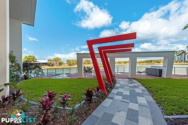 1908/25-31 East Quays Drive Biggera Waters QLD 4216