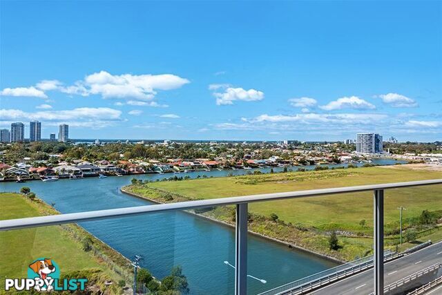 1908/25-31 East Quays Drive Biggera Waters QLD 4216