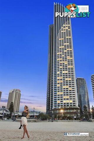 2602/4 The Esplanade Surfers Paradise QLD 4217