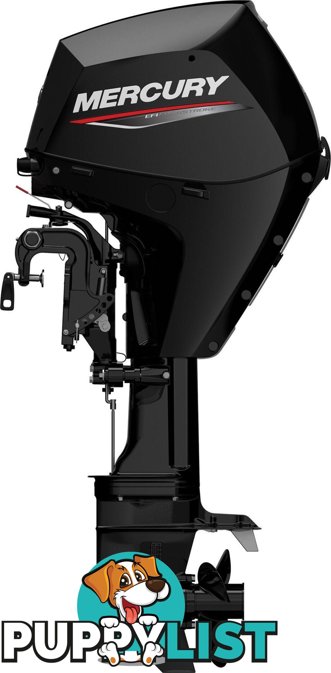 Mercury 25 HP EFI Fourstroke