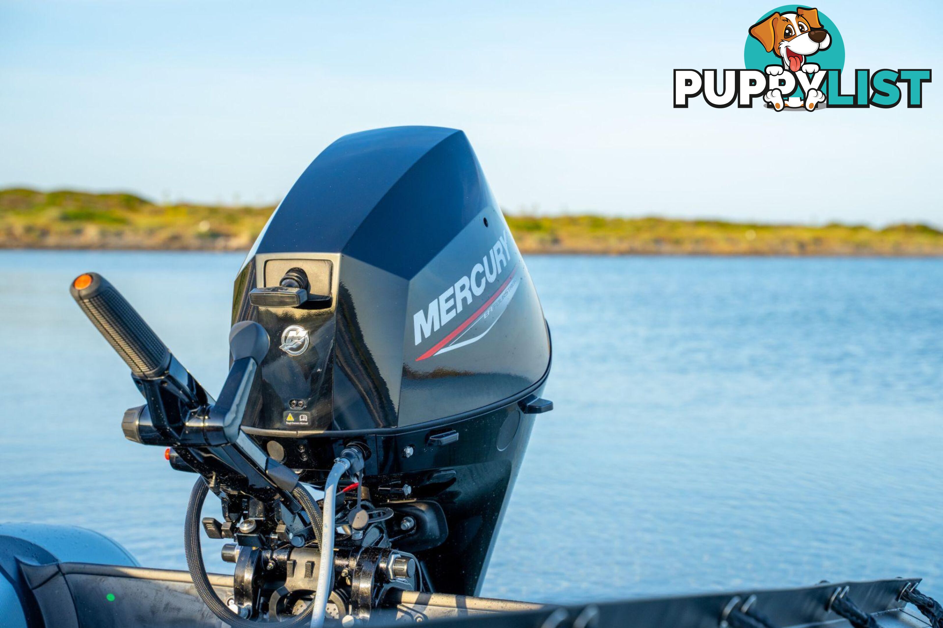 Mercury 25 HP EFI Fourstroke