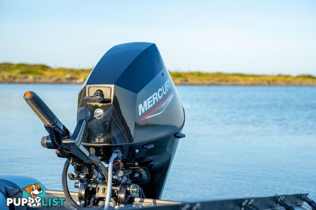 Mercury 25 HP EFI Fourstroke