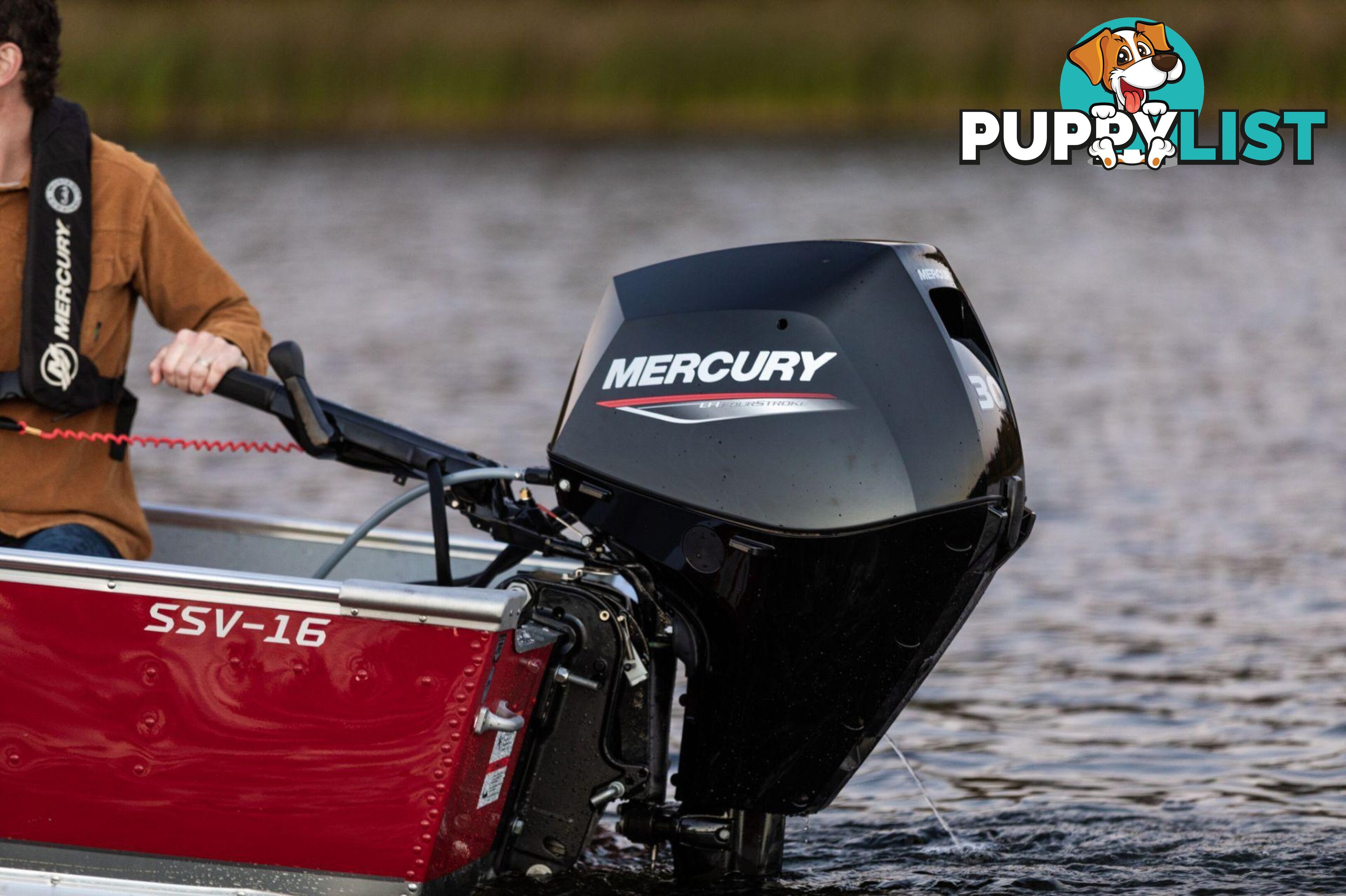 Mercury 30 HP EFI Fourstroke