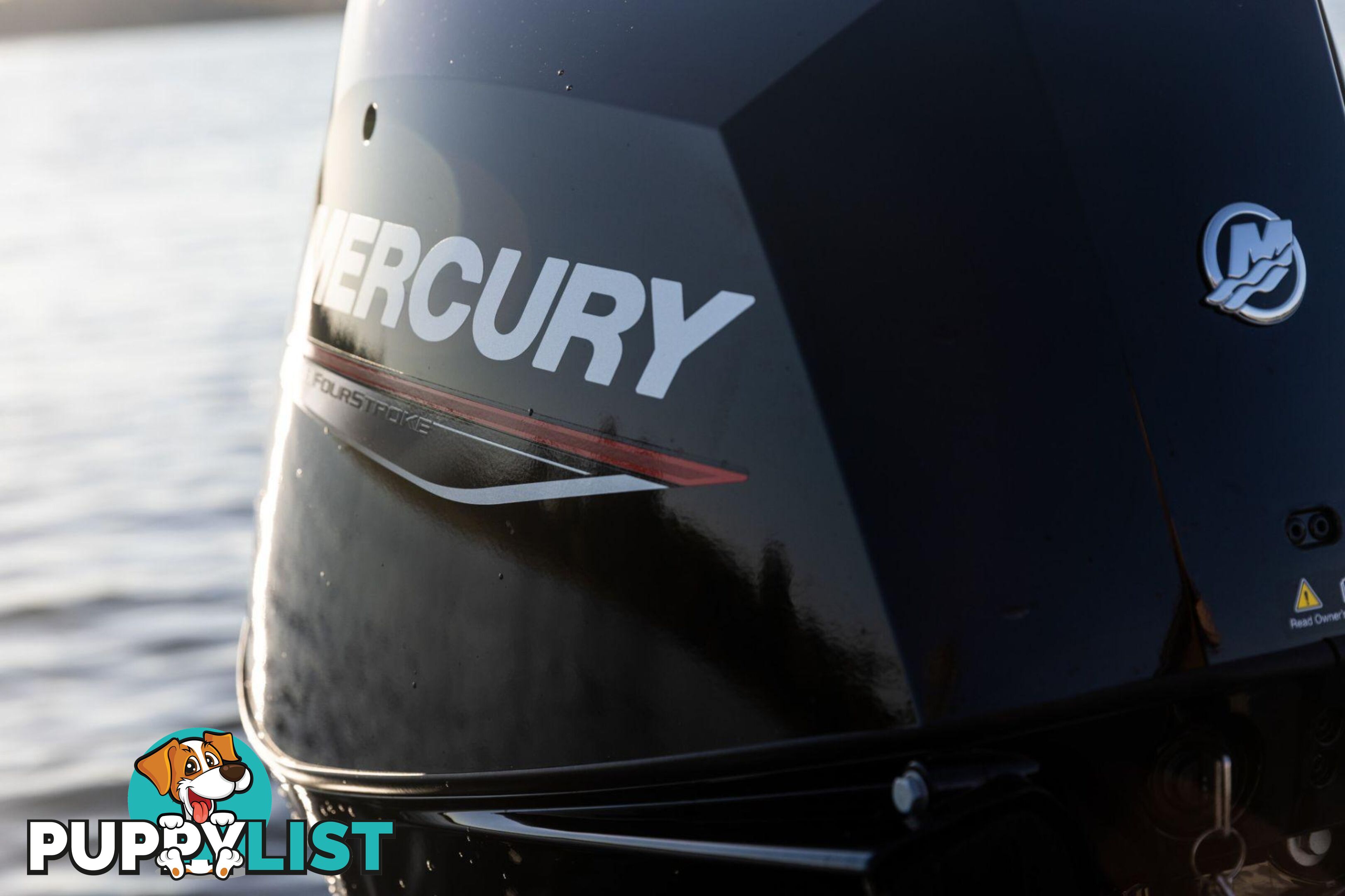 Mercury 30 HP EFI Fourstroke