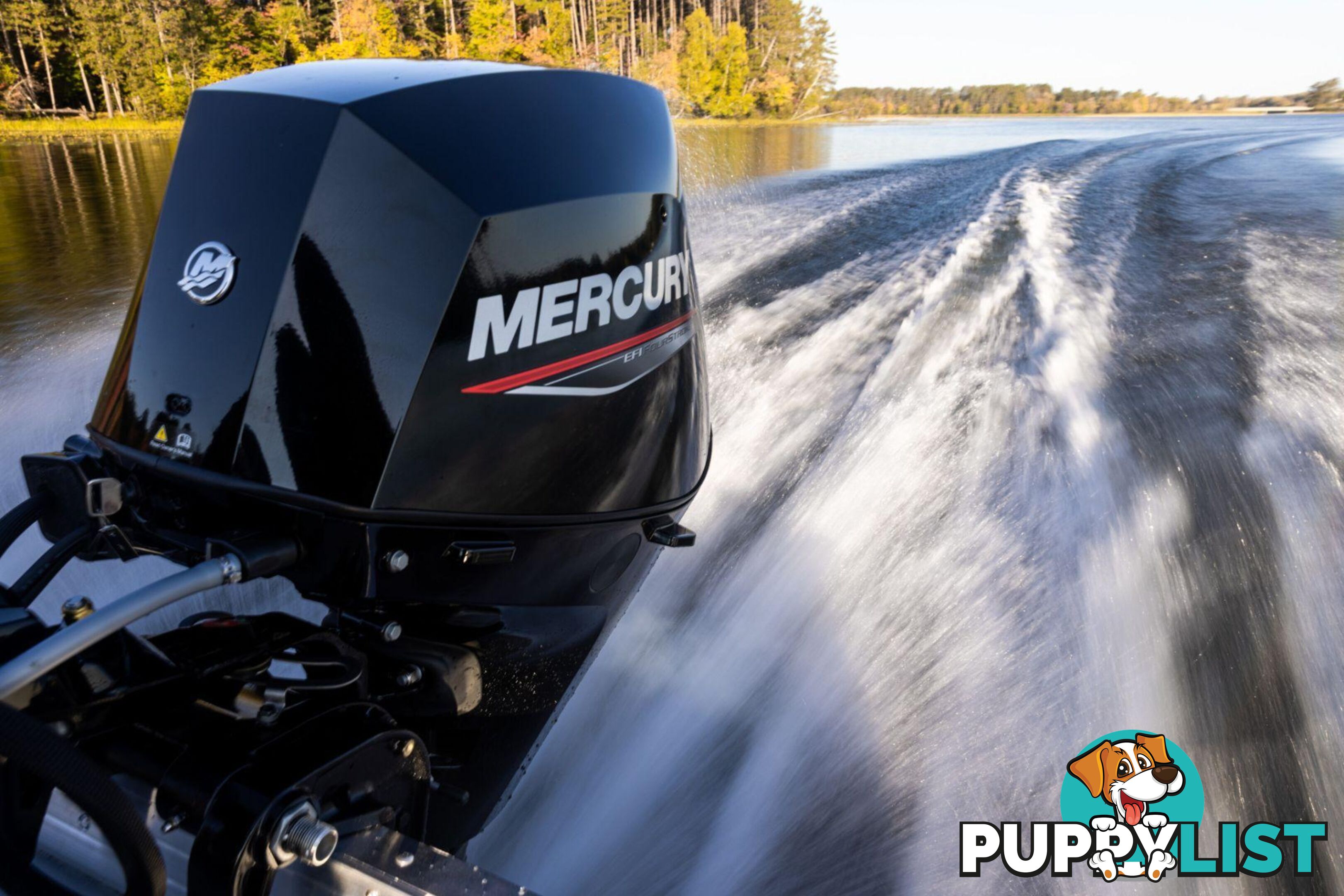 Mercury 30 HP EFI Fourstroke