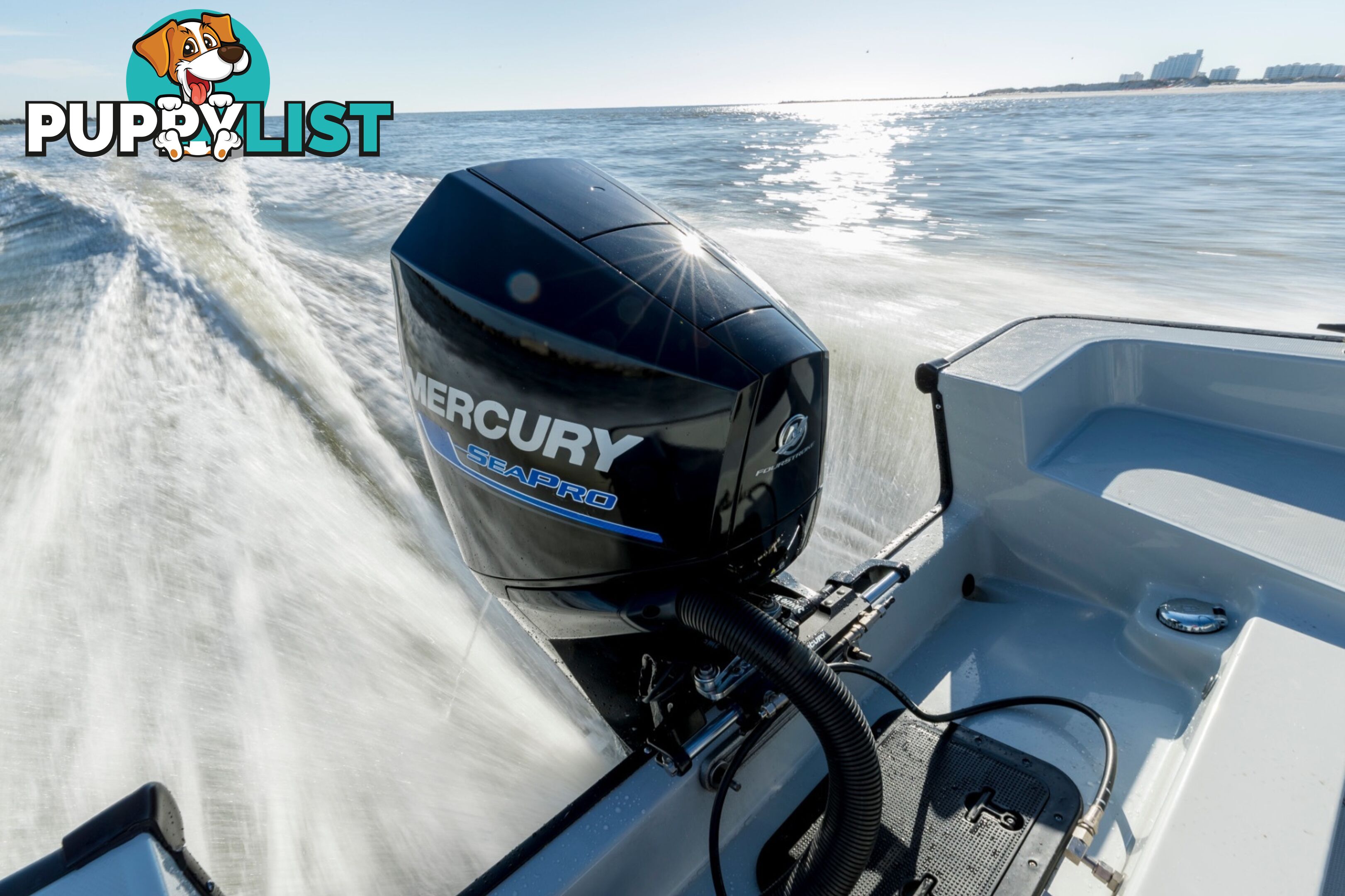 200 HP Sea Pro Fourstroke