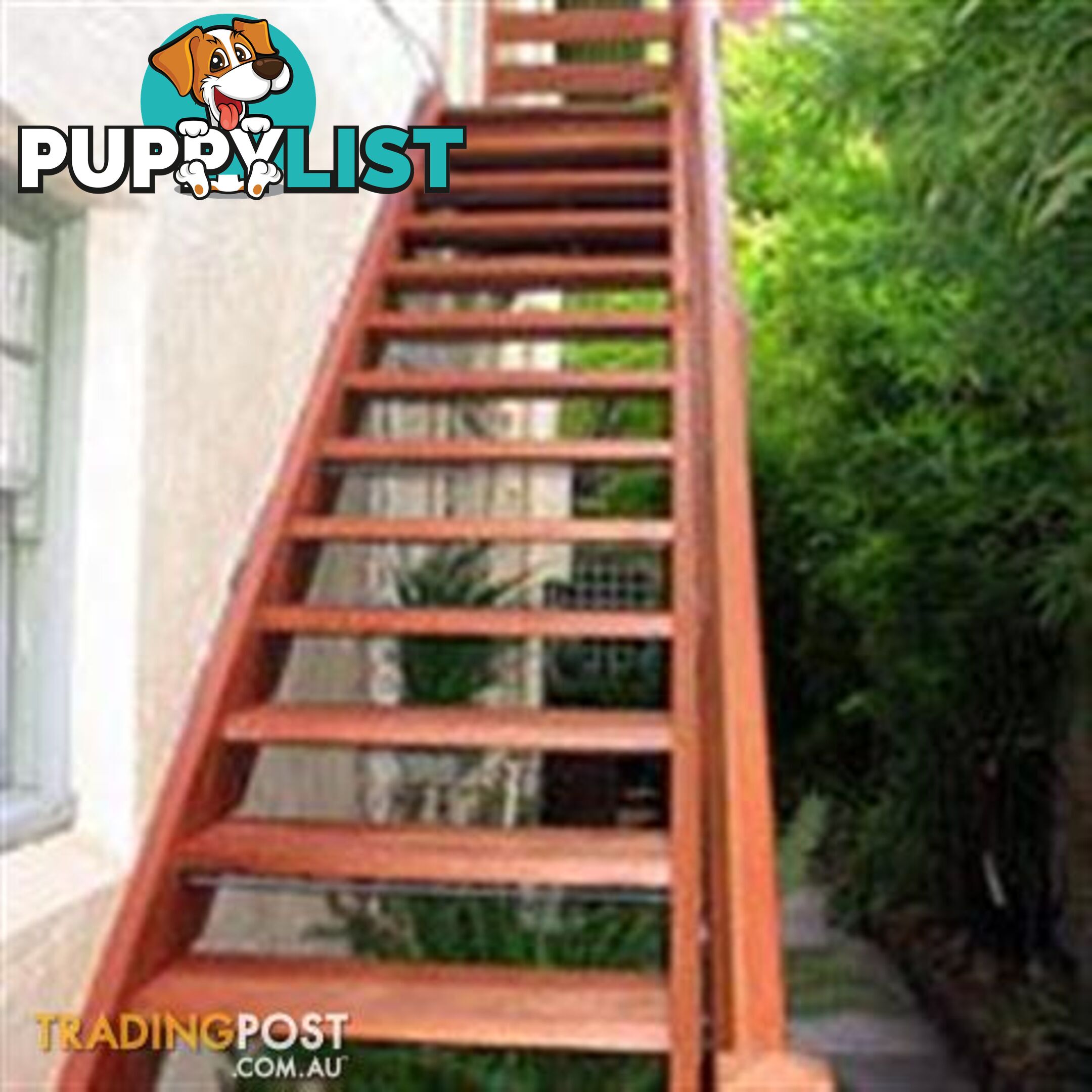 Hardwood Stairs Ironbark External