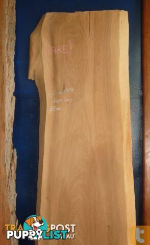 Timber Natural Edge Slabs