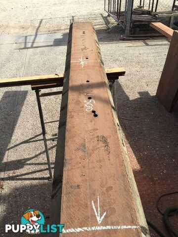 Timber Natural Edge Slabs