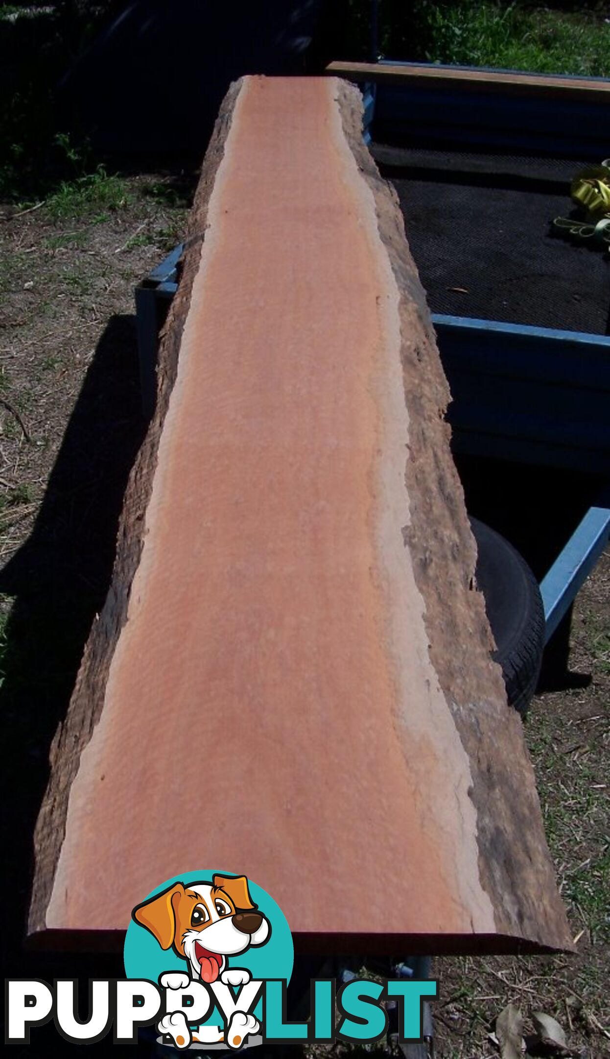 Timber Natural Edge Slabs