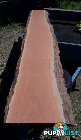 Timber Natural Edge Slabs