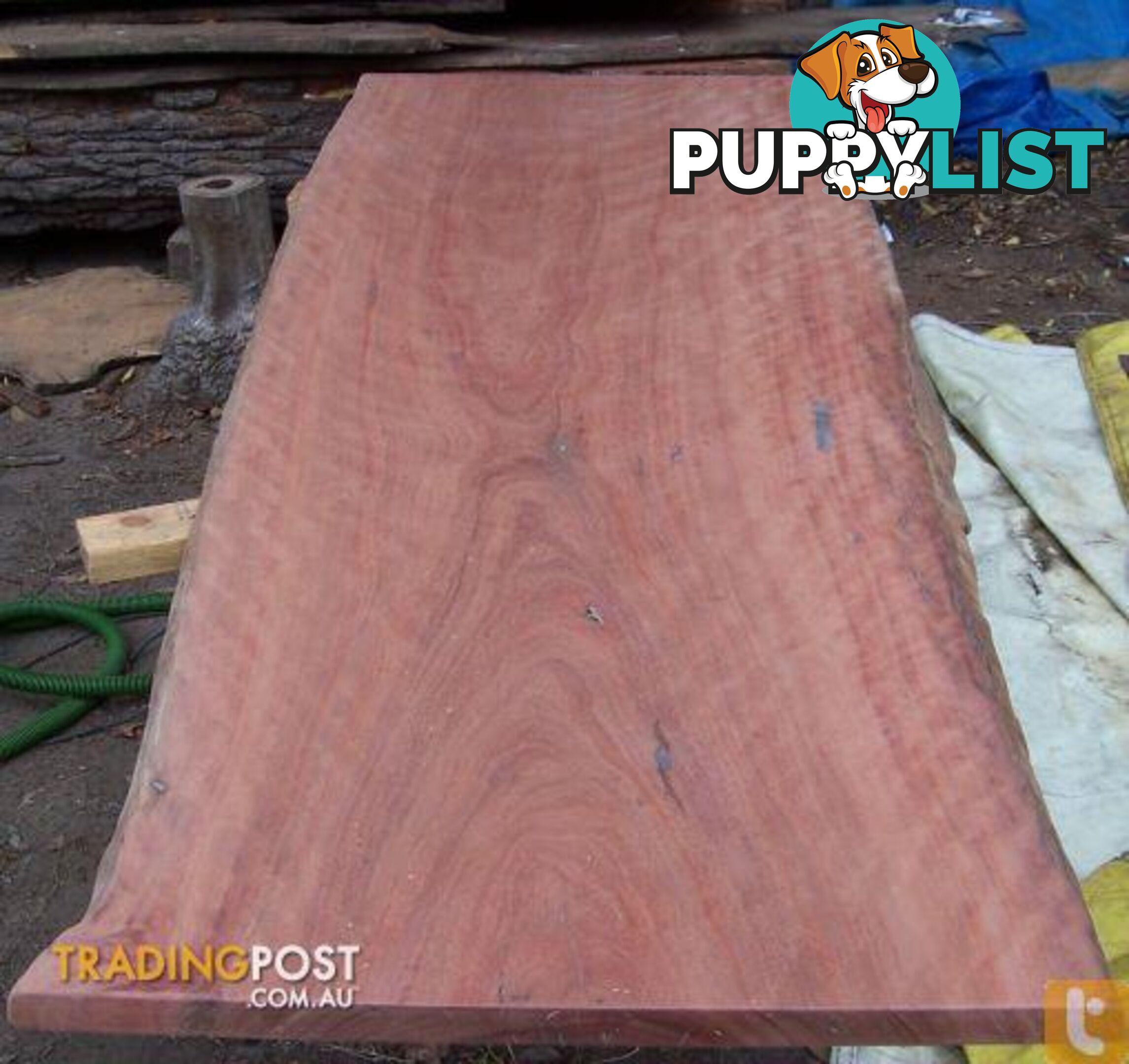 Timber Natural Edge Slabs