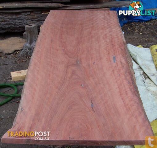 Timber Natural Edge Slabs