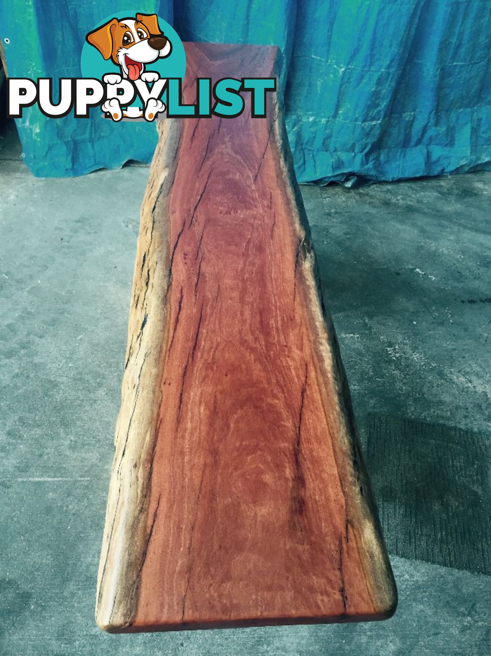 Timber Natural Edge Slabs