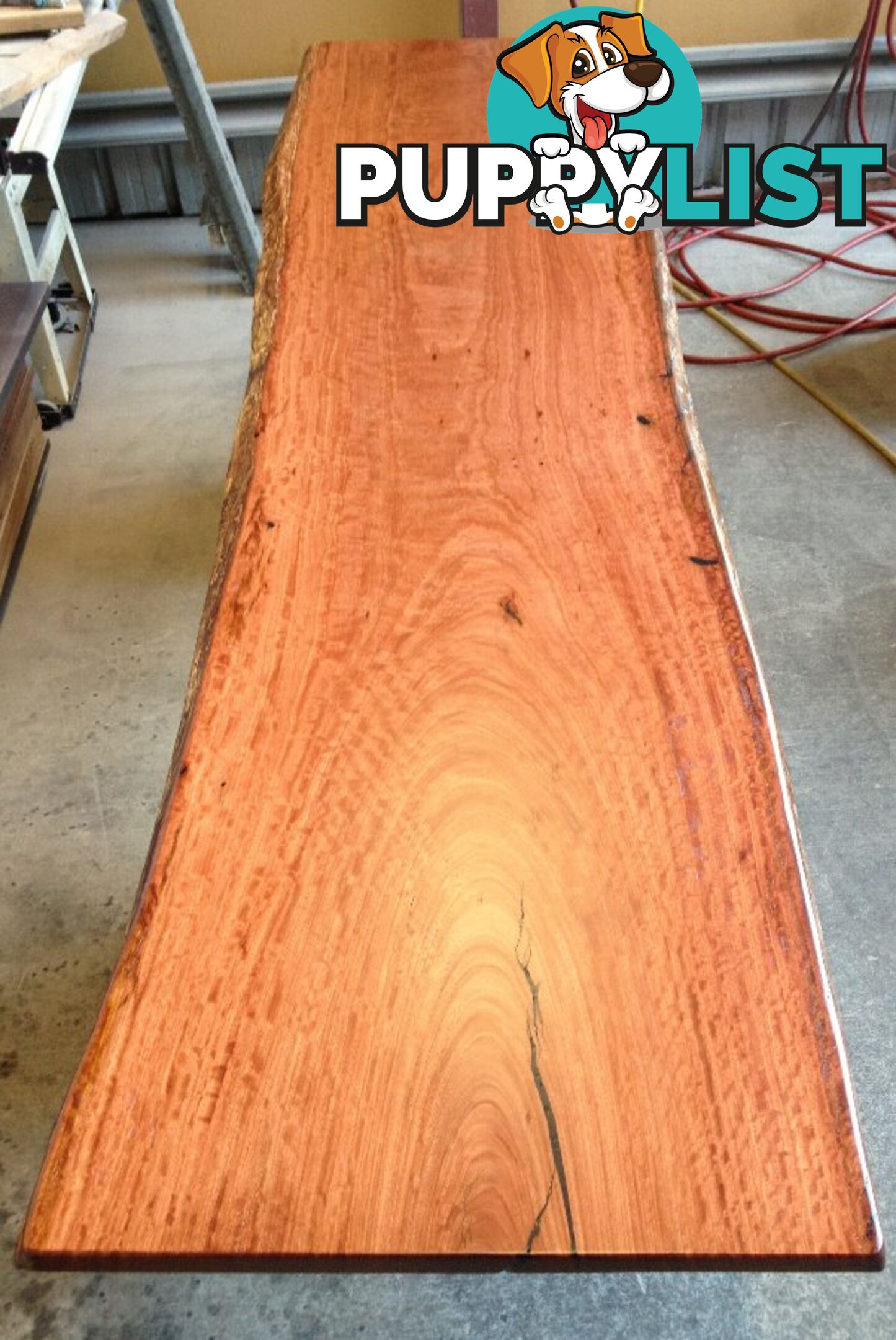 Timber Natural Edge Slabs