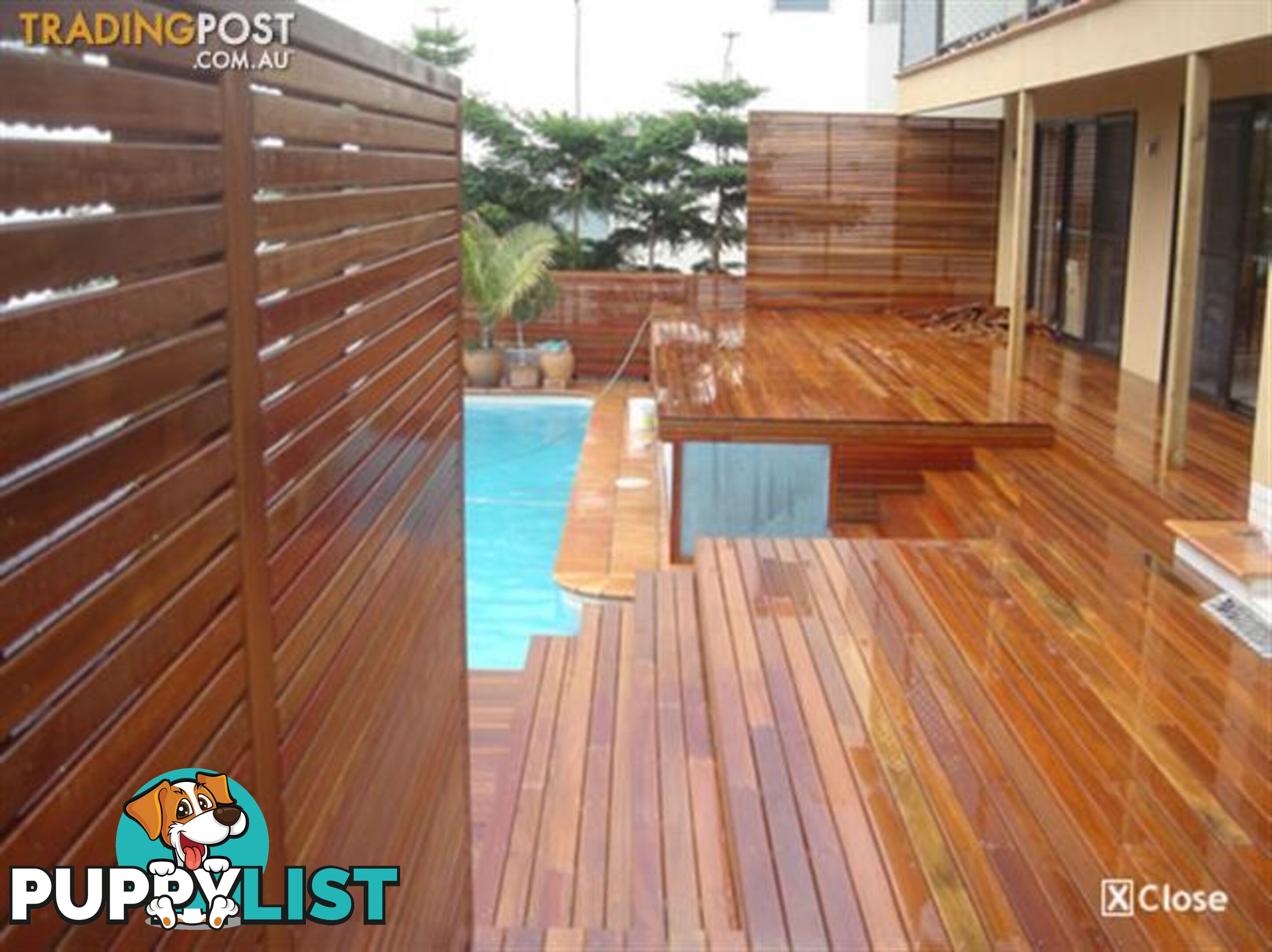 Spotted Gum Decking Long Lengths