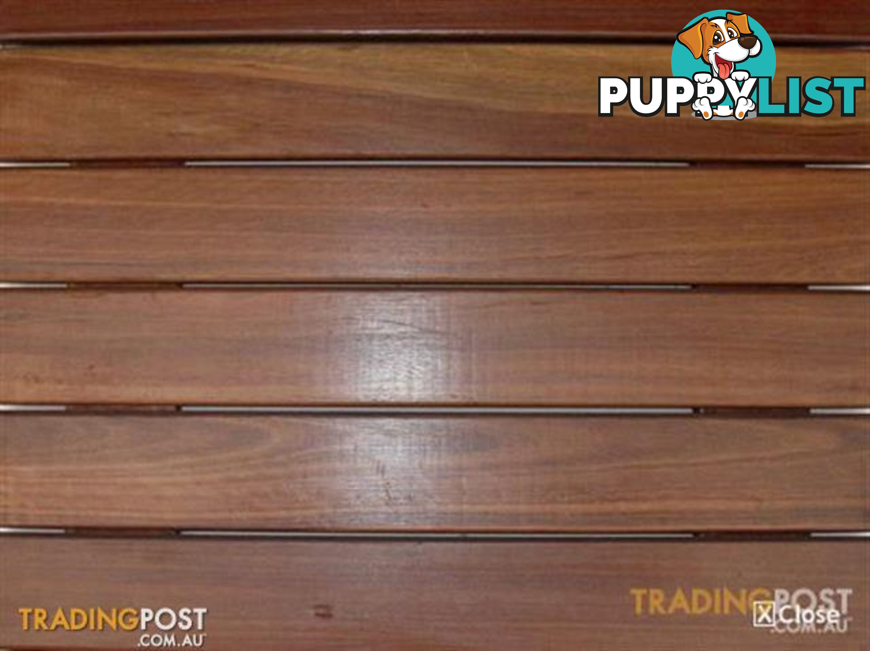 Spotted Gum Decking Long Lengths