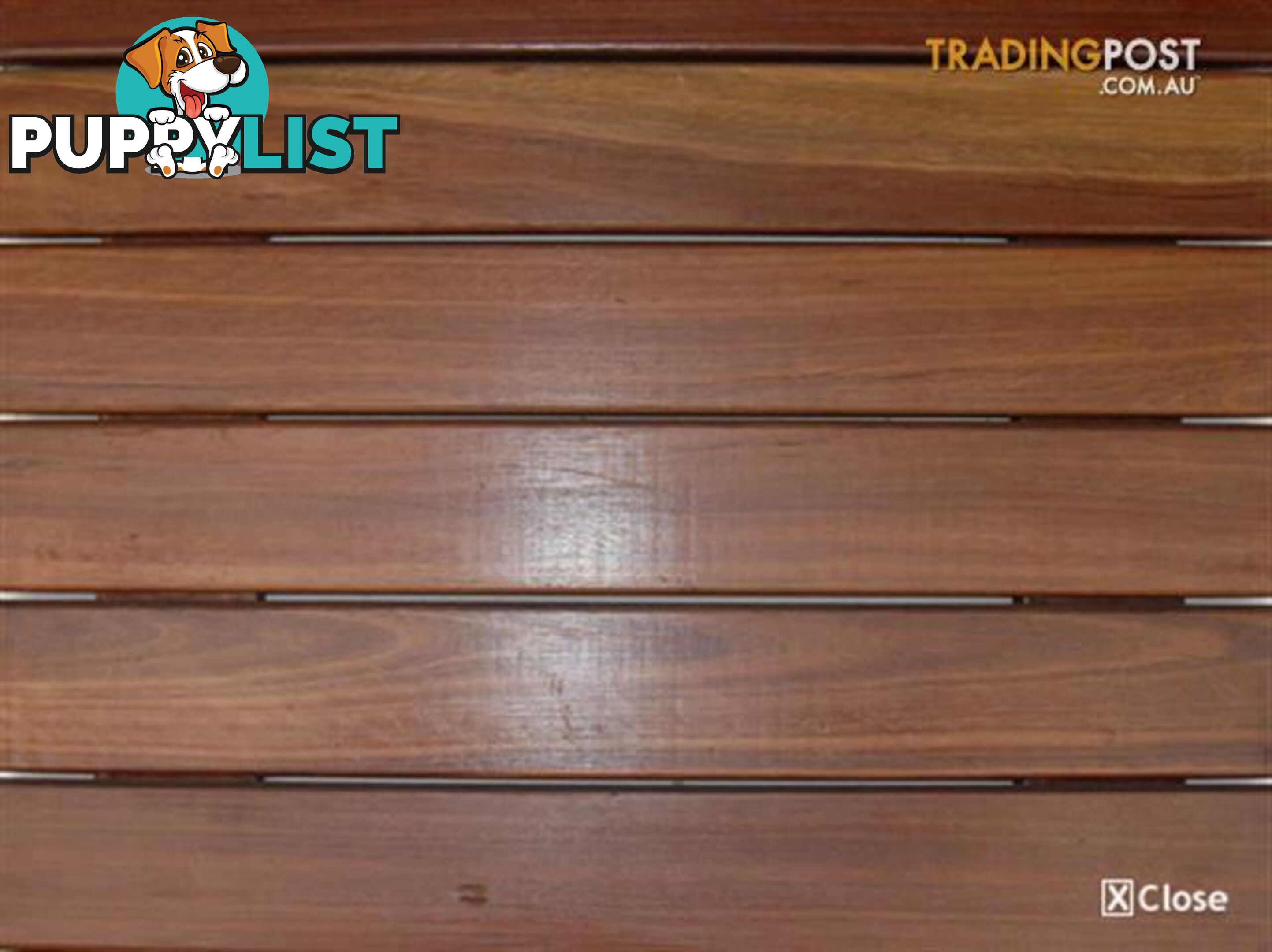 Spotted Gum Decking Long Lengths